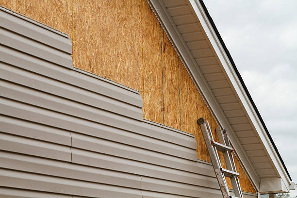 24/7 Emergency Vinyl Siding experts in Disputanta, VA